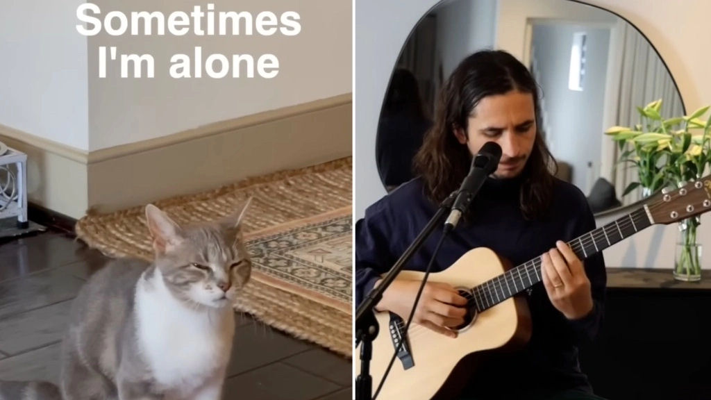 The Kiffness remixa questões felinas em uma solitária canção