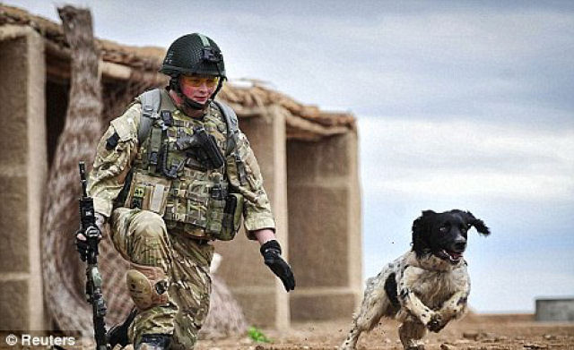 Amizade incondicional: soldado é alvejado e seu cão morre de tristeza