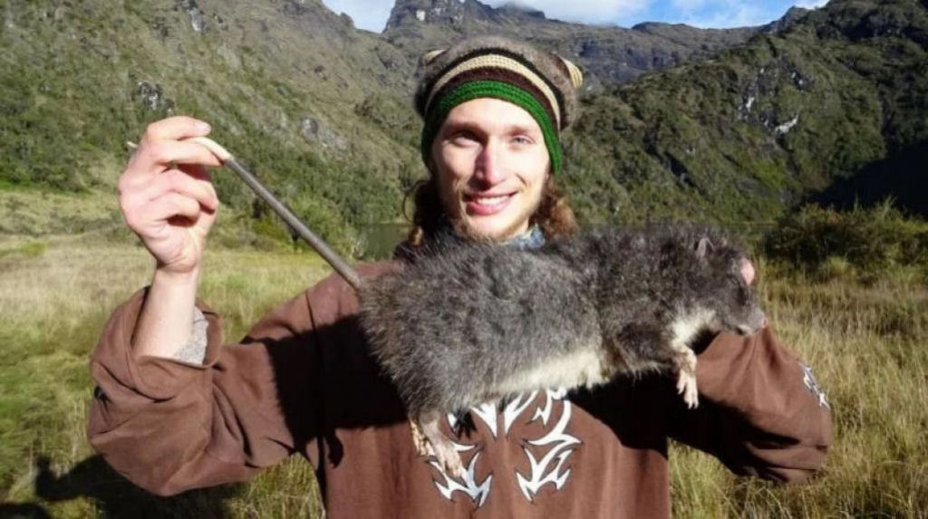 Rato-lanoso-gigante capturado pela câmera pela primeira vez