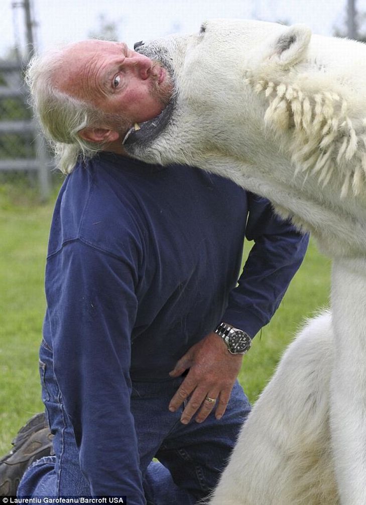 Mark e o urso polar Agee, uma amizade invejável 05