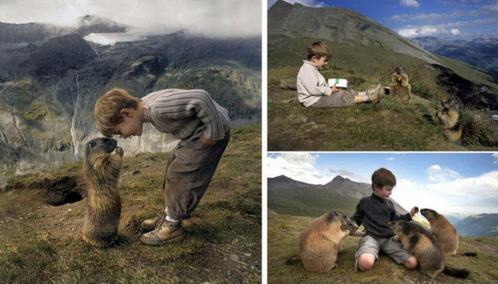 Adolescente austríaco tem um vínculo surpreendente com marmotas alpinas