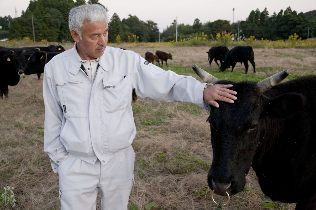 O homem que desafia a radiação nuclear para cuidar dos animais abandonados 13