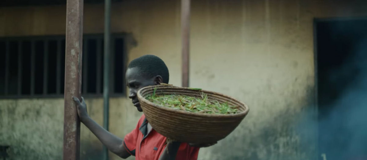 Documentário etéreo ilumina a crescente coleta de gafanhotos em Uganda