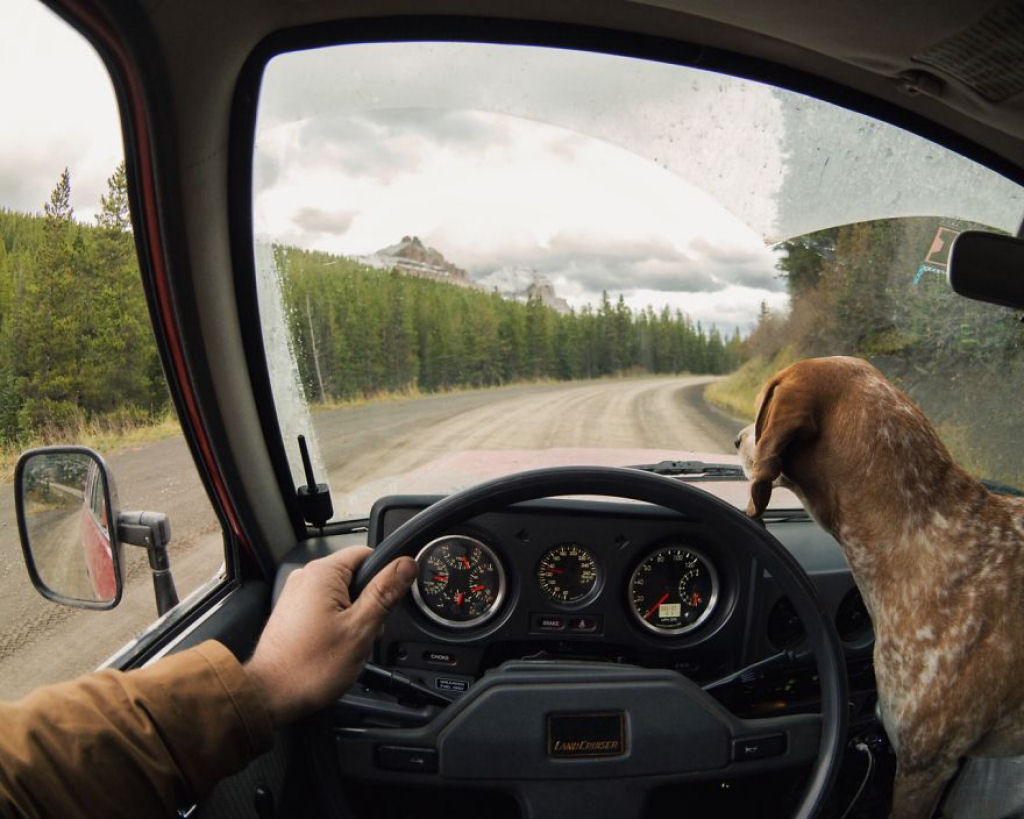 Este fotógrafo leva sua cadela adotada em suas aventuras 11
