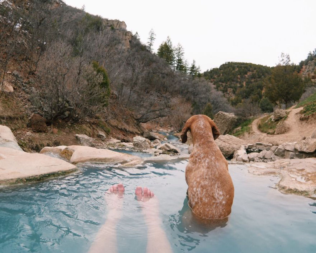 Este fotógrafo leva sua cadela adotada em suas aventuras 17
