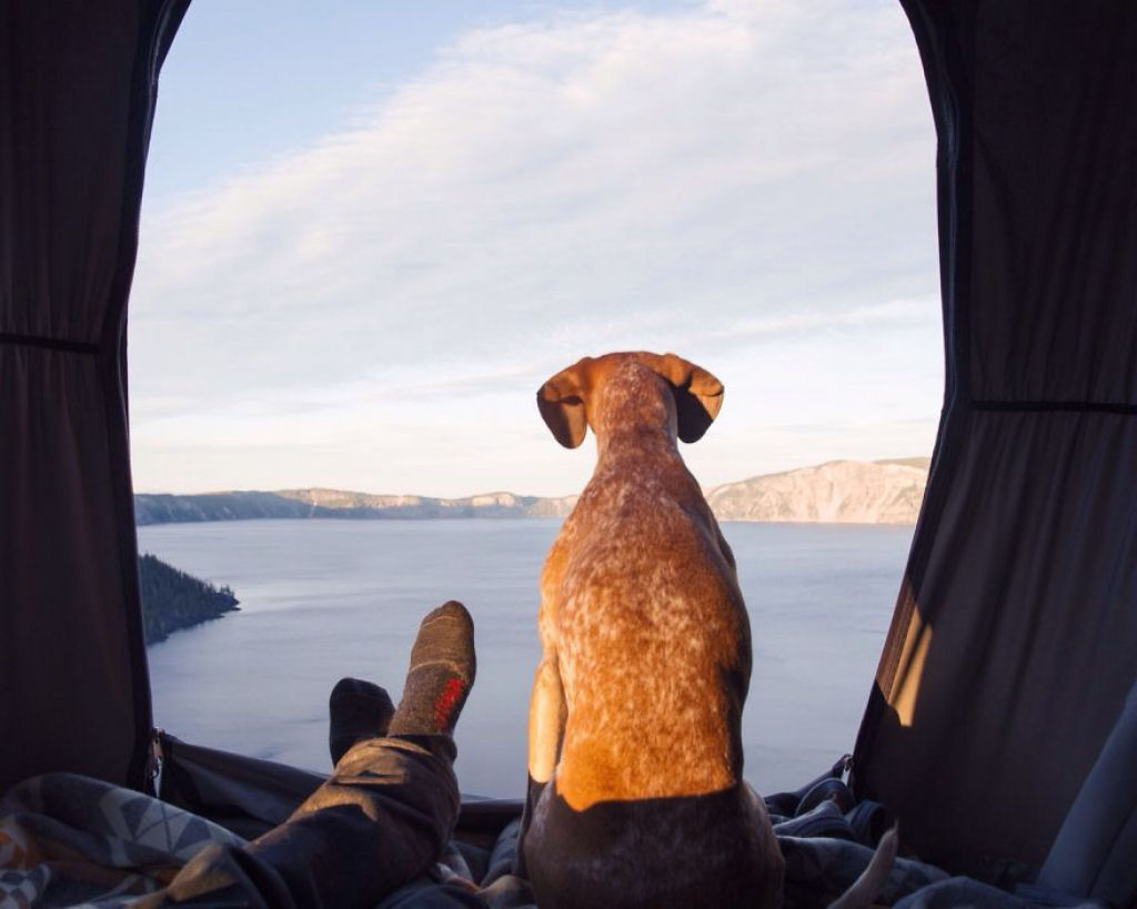 Este fotógrafo leva sua cadela adotada em suas aventuras 20