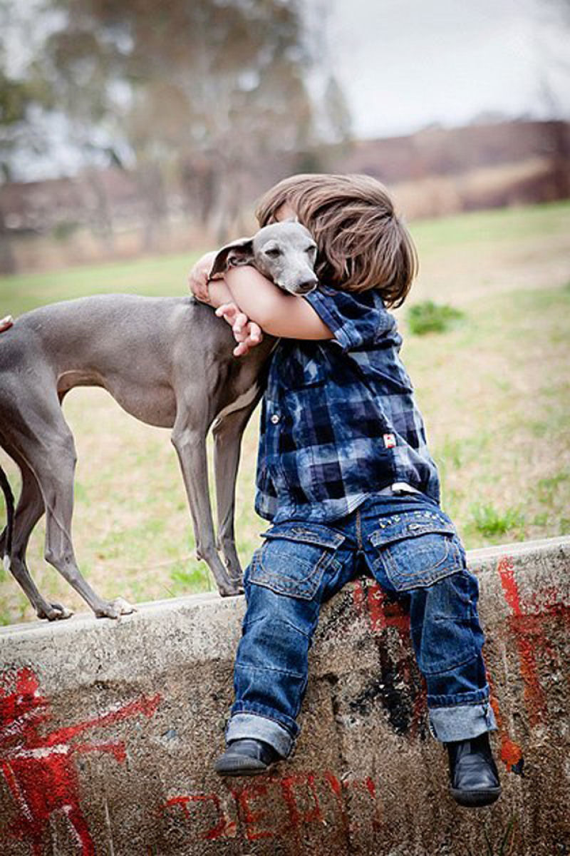 36 fotos reconfortantes de bebês e cães compartilhando um momento especial 09