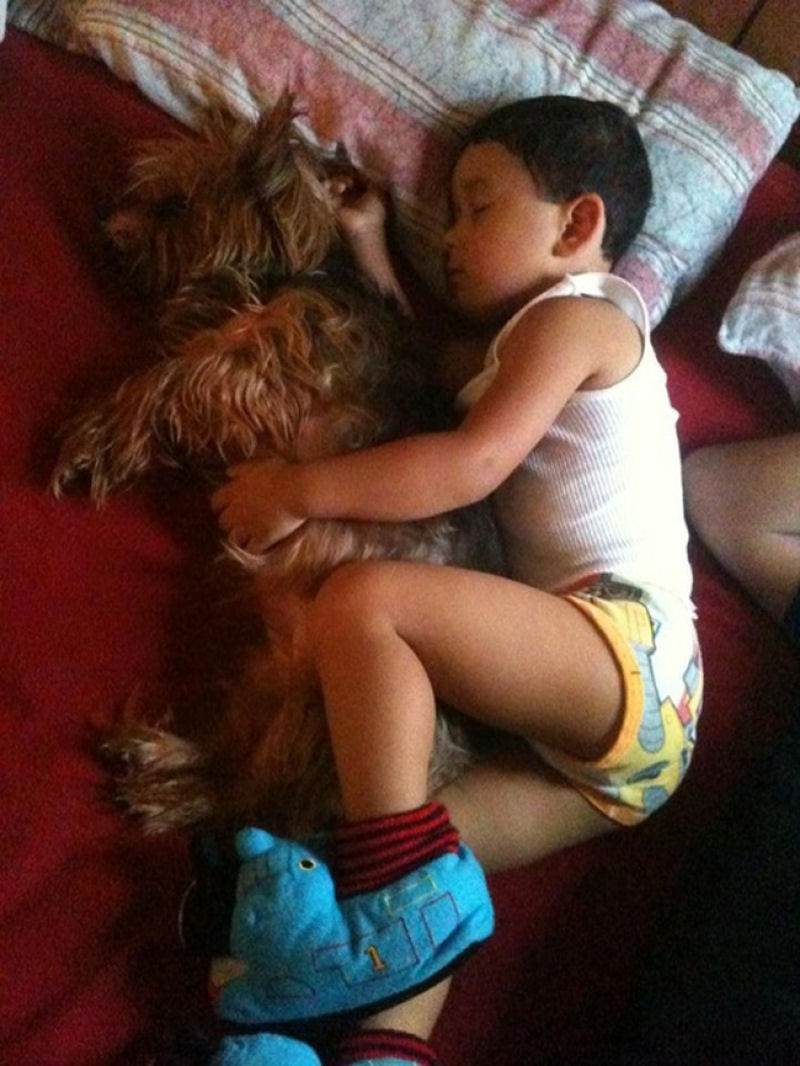 36 fotos reconfortantes de bebês e cães compartilhando um momento especial 12