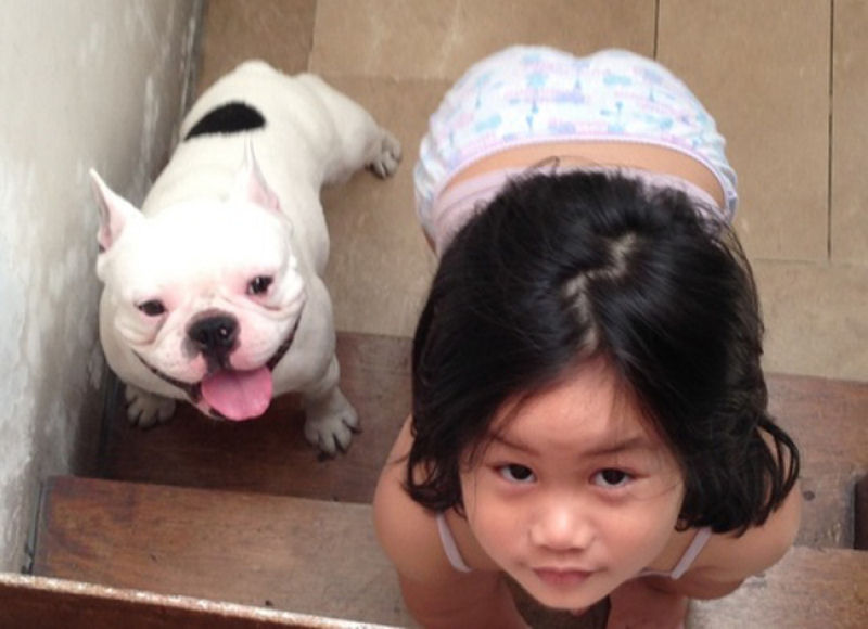 36 fotos reconfortantes de bebês e cães compartilhando um momento especial 14
