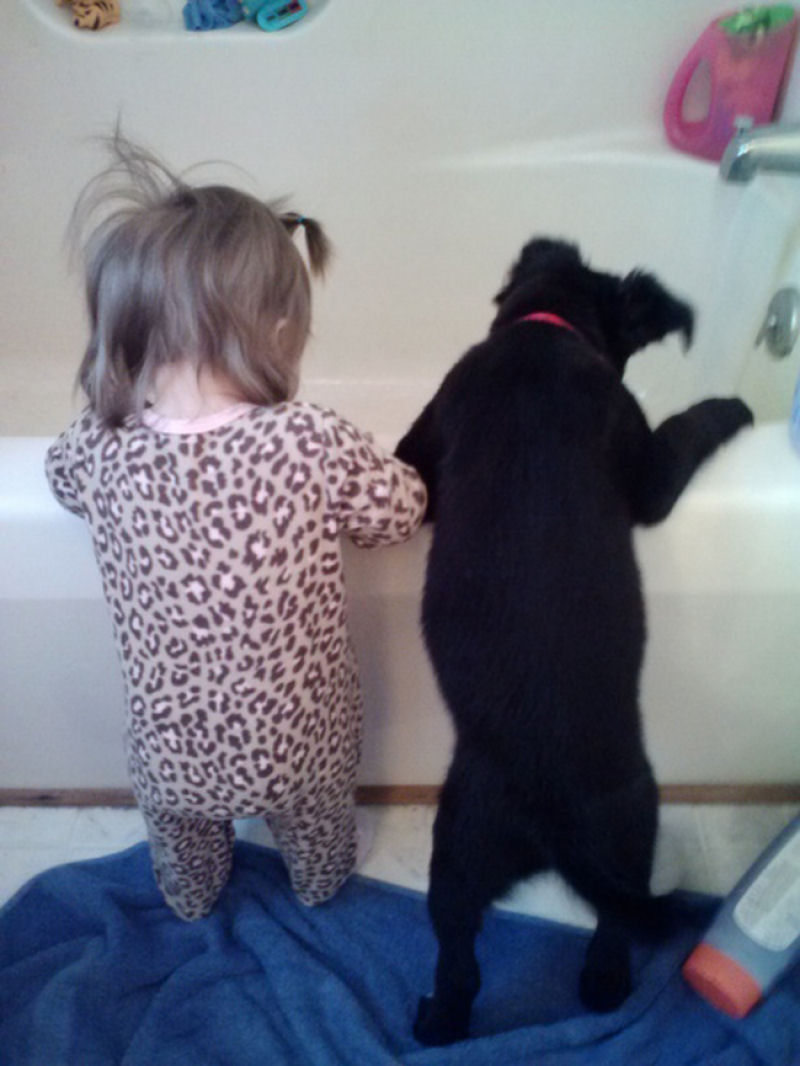 36 fotos reconfortantes de bebês e cães compartilhando um momento especial 18
