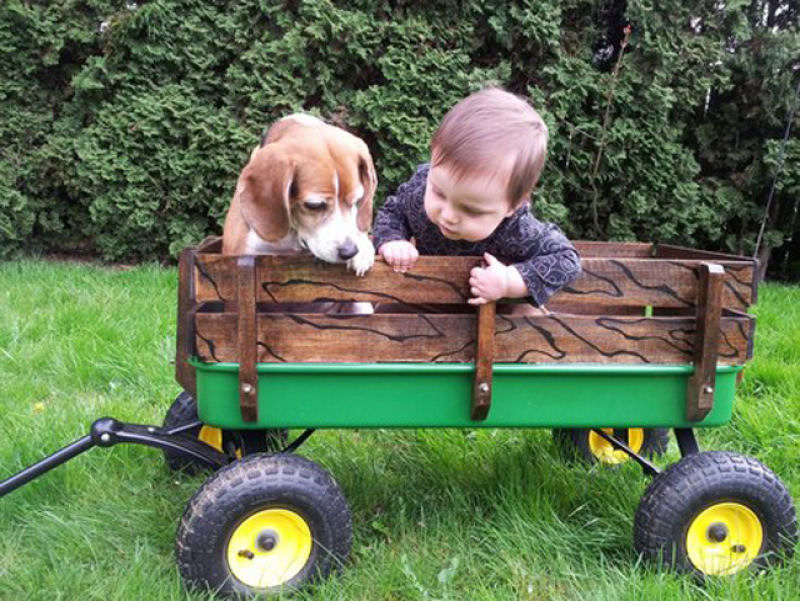 36 fotos reconfortantes de bebês e cães compartilhando um momento especial 20