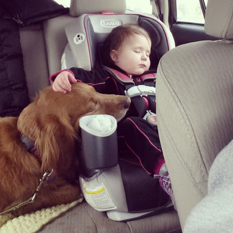 36 fotos reconfortantes de bebês e cães compartilhando um momento especial 21