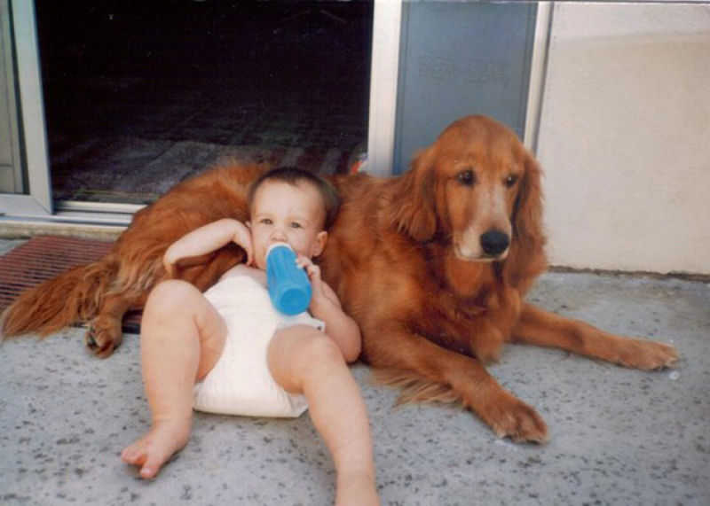 36 fotos reconfortantes de bebês e cães compartilhando um momento especial 22