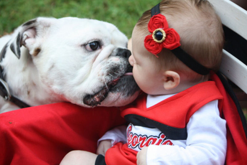 36 fotos reconfortantes de bebês e cães compartilhando um momento especial 24