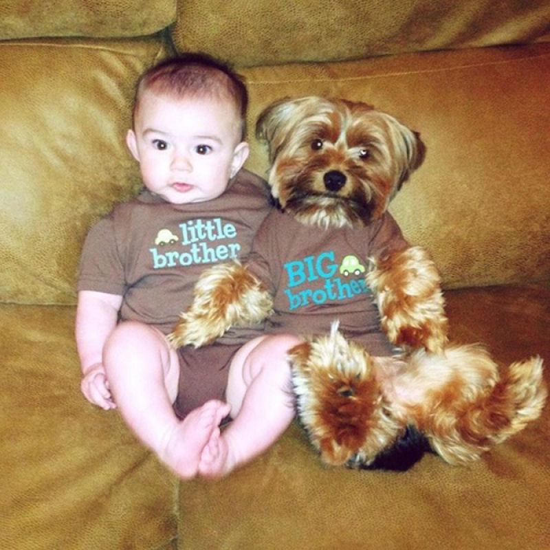 36 fotos reconfortantes de bebês e cães compartilhando um momento especial 25