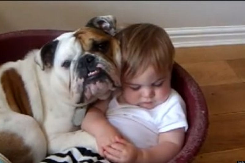 36 fotos reconfortantes de bebês e cães compartilhando um momento especial 28