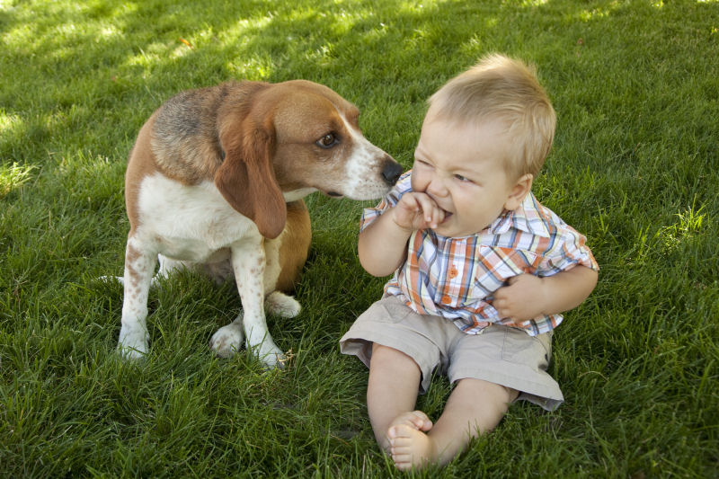 36 fotos reconfortantes de bebês e cães compartilhando um momento especial 31