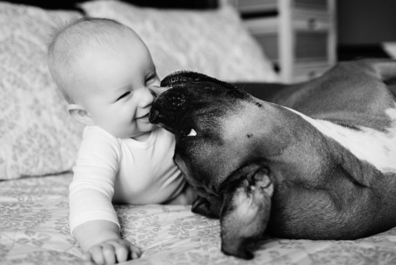 36 fotos reconfortantes de bebês e cães compartilhando um momento especial 34
