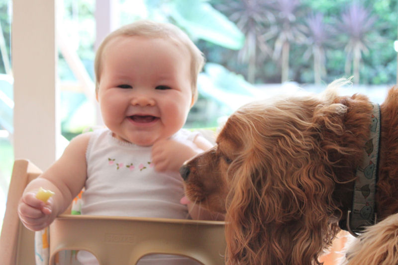 36 fotos reconfortantes de bebês e cães compartilhando um momento especial 35
