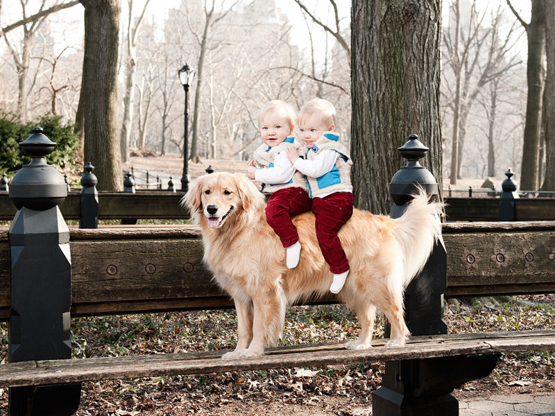 36 fotos reconfortantes de bebês e cães compartilhando um momento especial 36