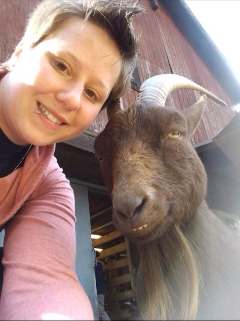 46 animais que esto fartos com a moda das selfies 36