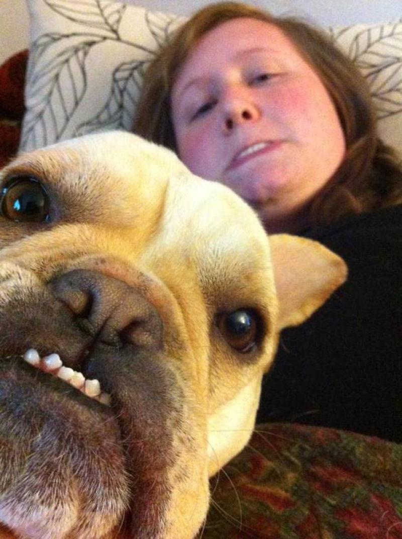 46 animais que esto fartos com a moda das selfies 38