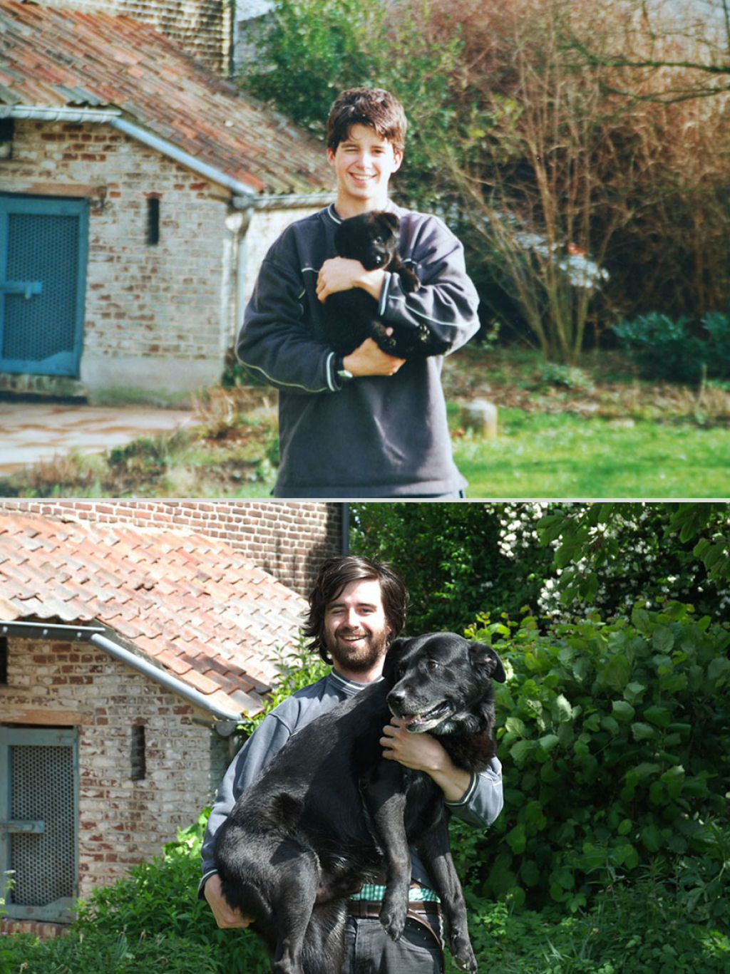 O antes e depois de adorveis animais de estimao 02