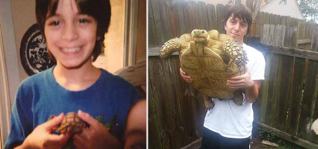 O antes e depois de adorveis animais de estimao 05