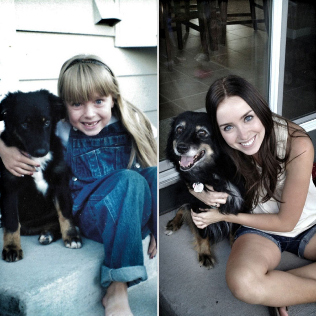 O antes e depois de adorveis animais de estimao 08