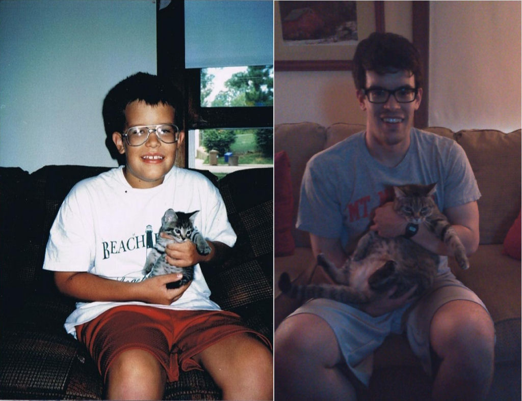 O antes e depois de adorveis animais de estimao 24