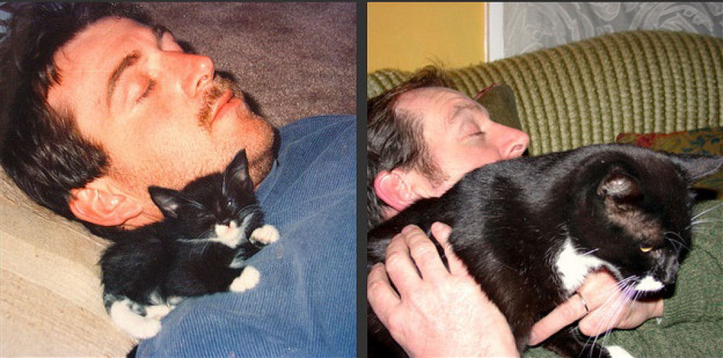 O antes e depois de adorveis animais de estimao 25
