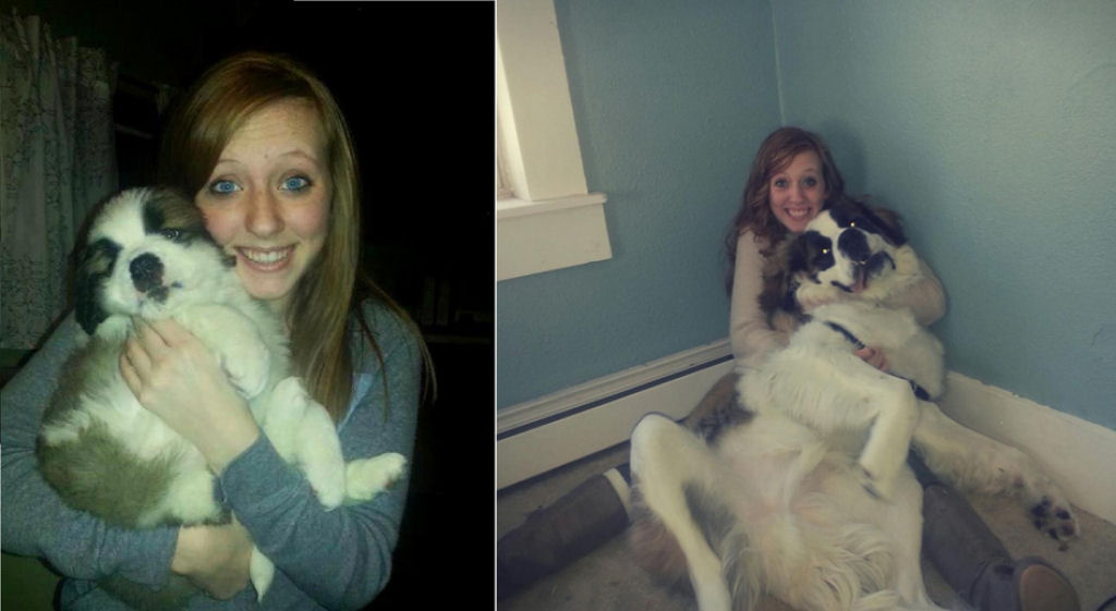 O antes e depois de adorveis animais de estimao 26