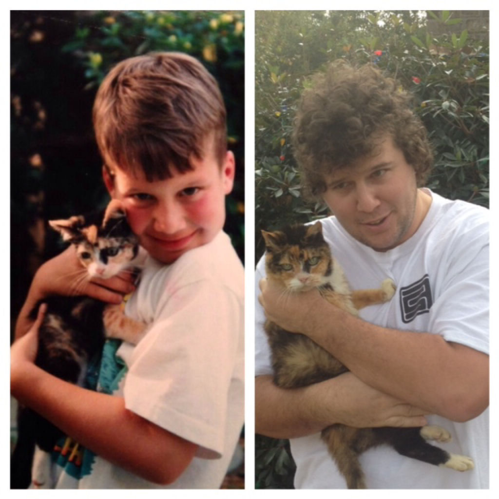 O antes e depois de adorveis animais de estimao 29