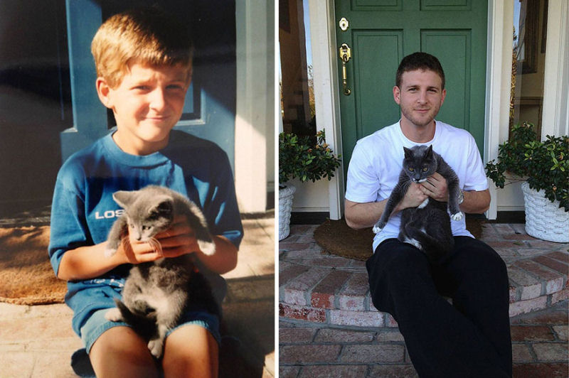 36 fotos do antes e depois de gatos crescendo 11