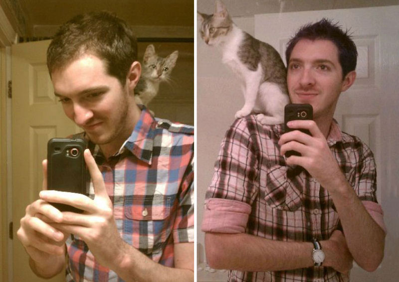 36 fotos do antes e depois de gatos crescendo 13