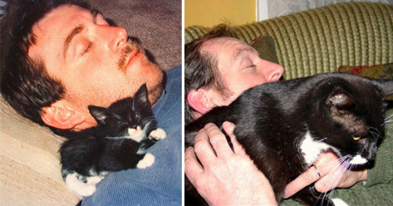 36 fotos do antes e depois de gatos crescendo 17