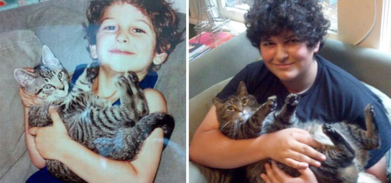36 fotos do antes e depois de gatos crescendo 23