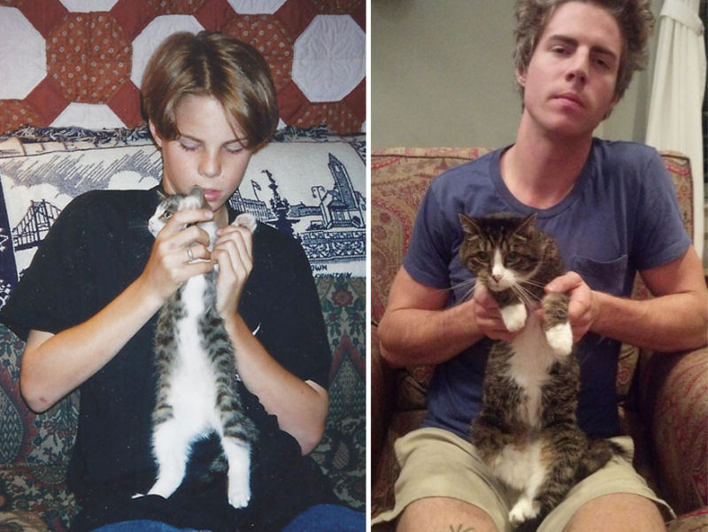 36 fotos do antes e depois de gatos crescendo 24
