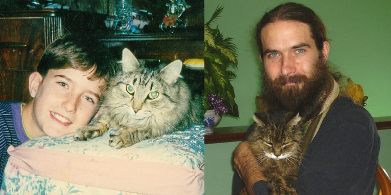 36 fotos do antes e depois de gatos crescendo 36