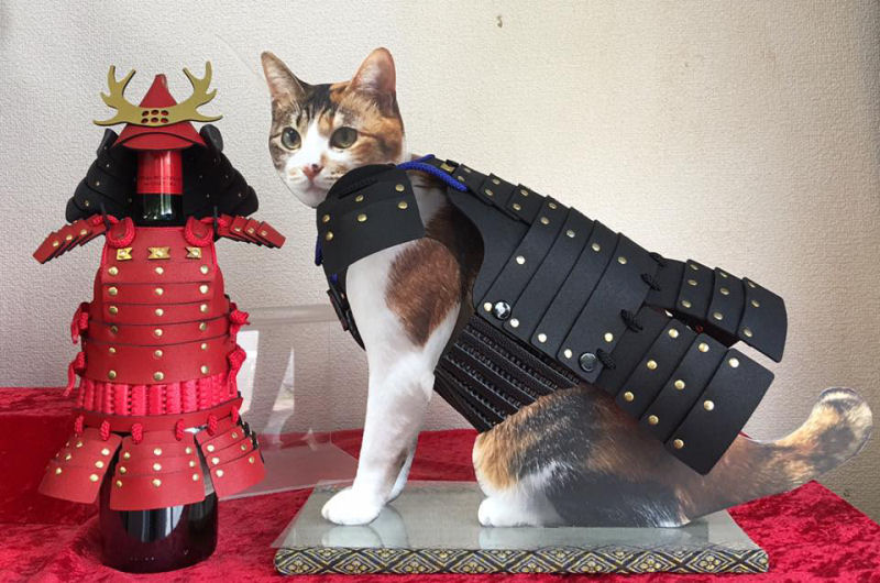 Empresa japonesa faz armaduras personalizadas de samurai para gatos e cães 04