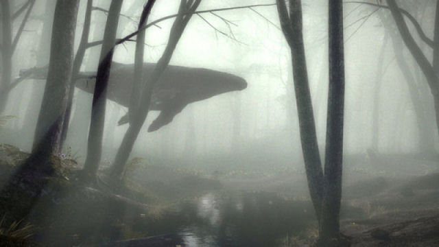 Uma baleia-jubarte na floresta