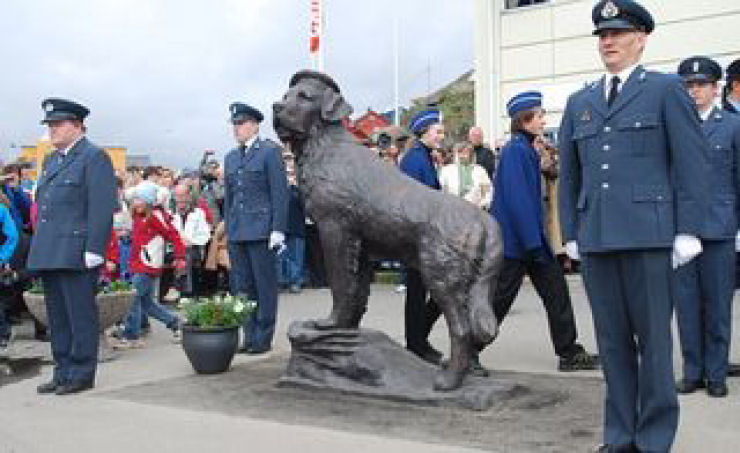 Bamse, um herói canino da marinha norueguesa
