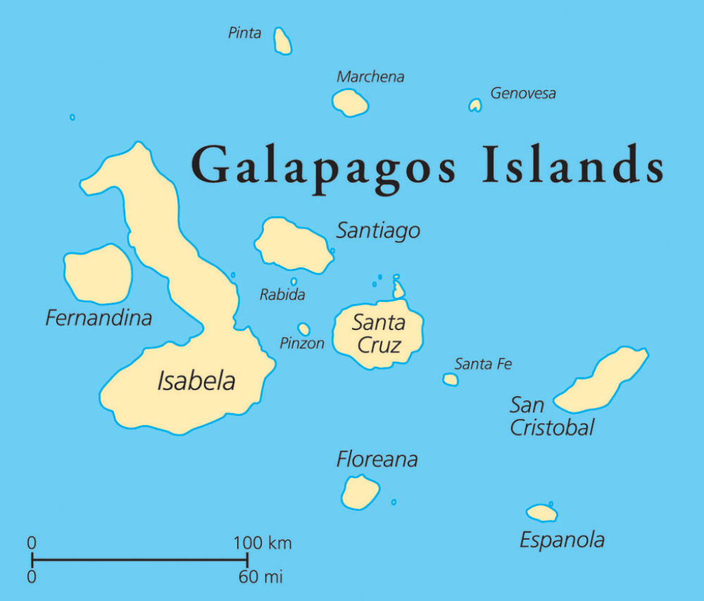 Projeto Isabela: a histria das cabras X9 que ajudaram a erradicar as cabras das Galpagos
