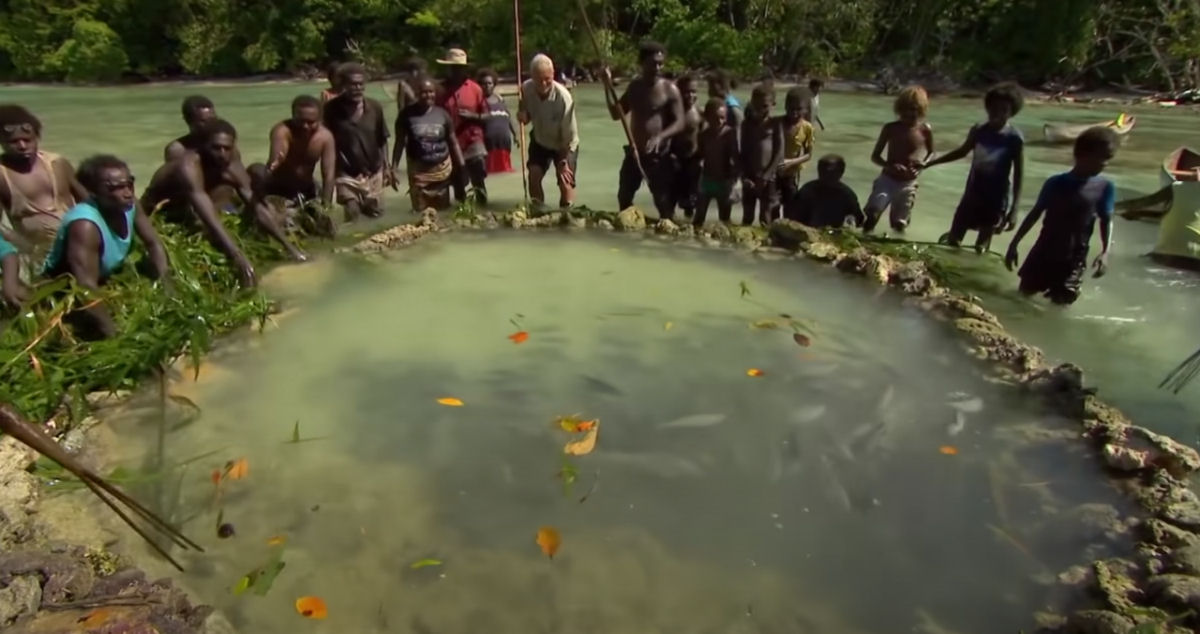 O método incrível de pesca de uma tribo das Ilhas Salomão