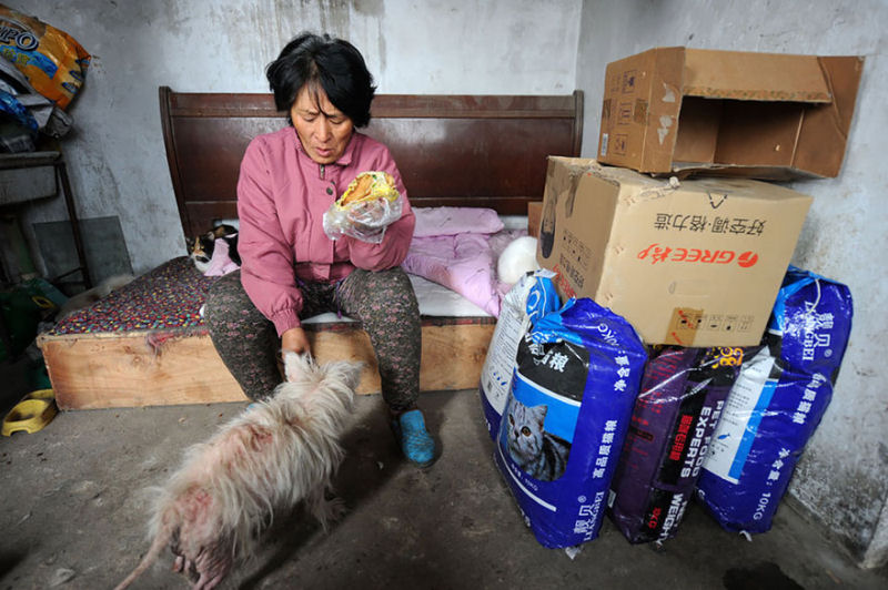 Chinesa viajou 2.400 kms e pagou quase 4 mil reais para salvar 100 cães que iam ser comidos 14