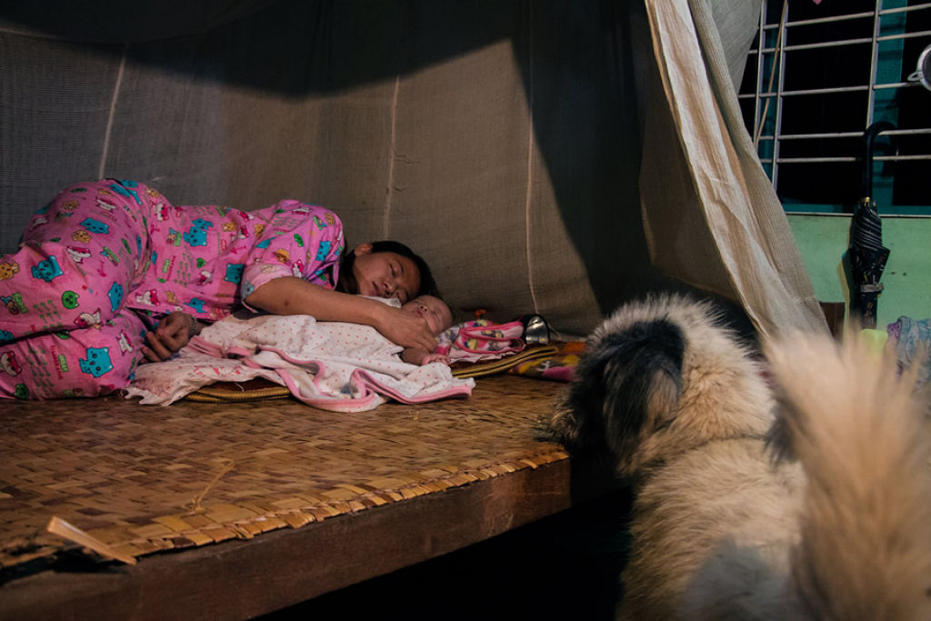 Conheça a comovente história da jovem que sacrificou tudo para salvar os cães de rua da Birmânia 19