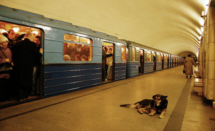 Os ces do metr de Moscou