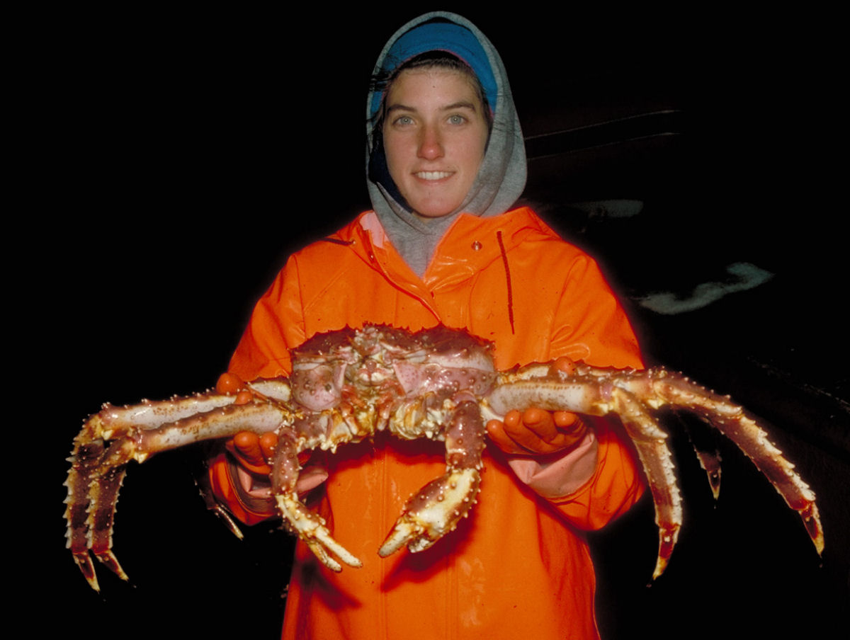 A invaso dos caranguejos-gigantes na Antrida poder arrasar a vida marinha endmica