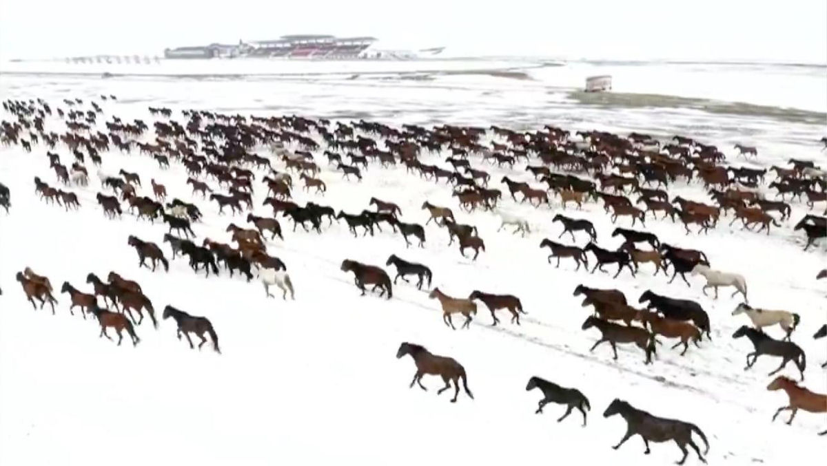 Cavalos retornam às pastagens frescas com a chegada da primavera na região do extremo oeste da China