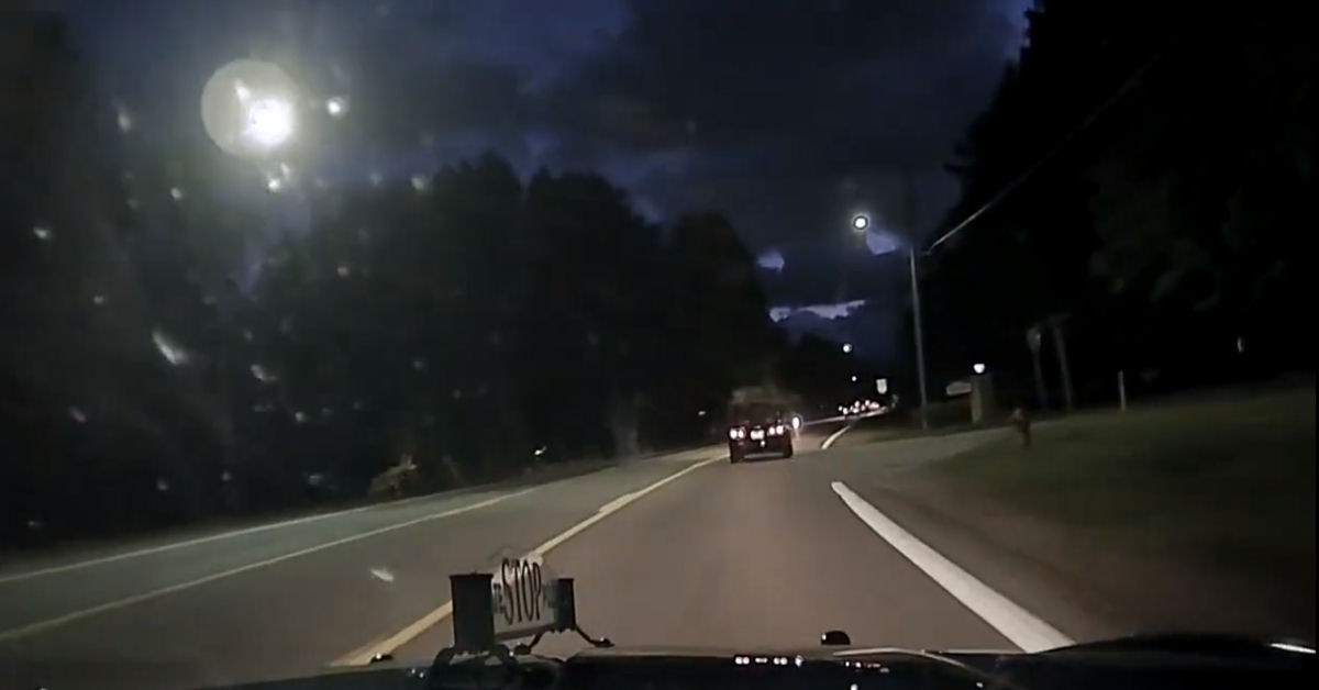 Vdeo impressionante mostra um cervo pulando sobre um carro em alta velocidade nos EUA